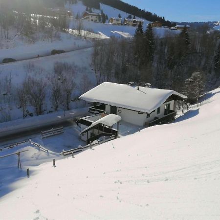 Great holiday apartment in Dienten am Hochköni Dienten am Hochkönig Exterior foto