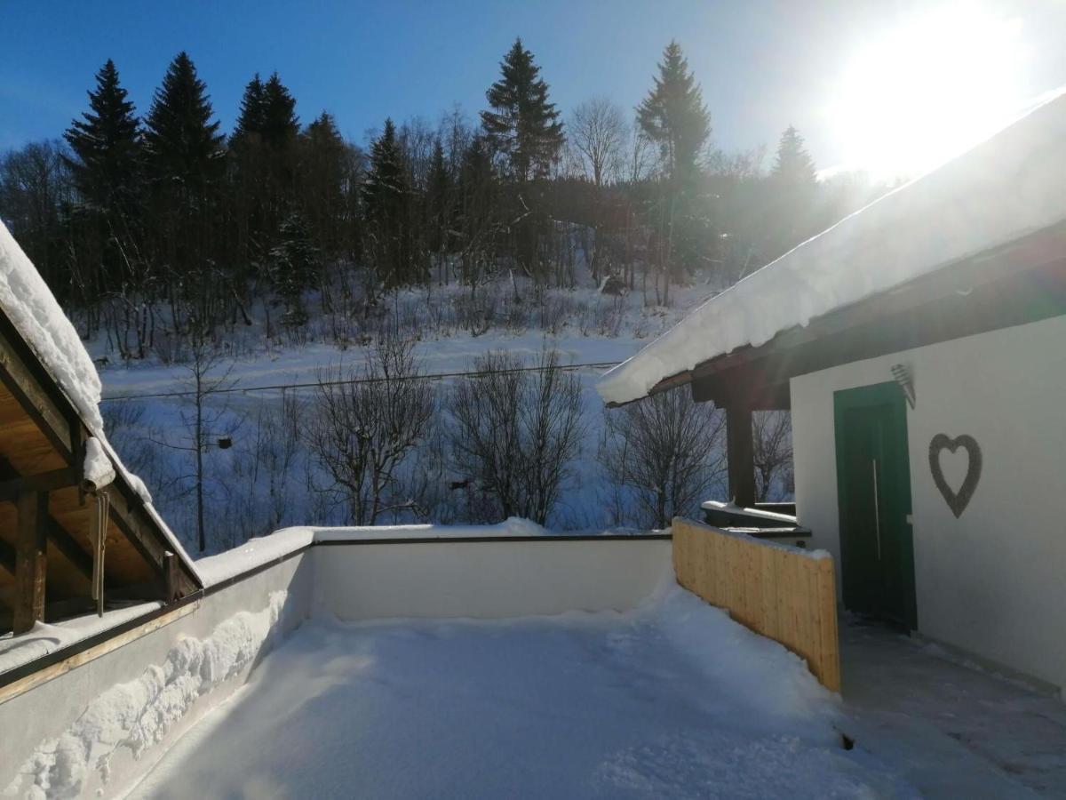 Great holiday apartment in Dienten am Hochköni Dienten am Hochkönig Exterior foto