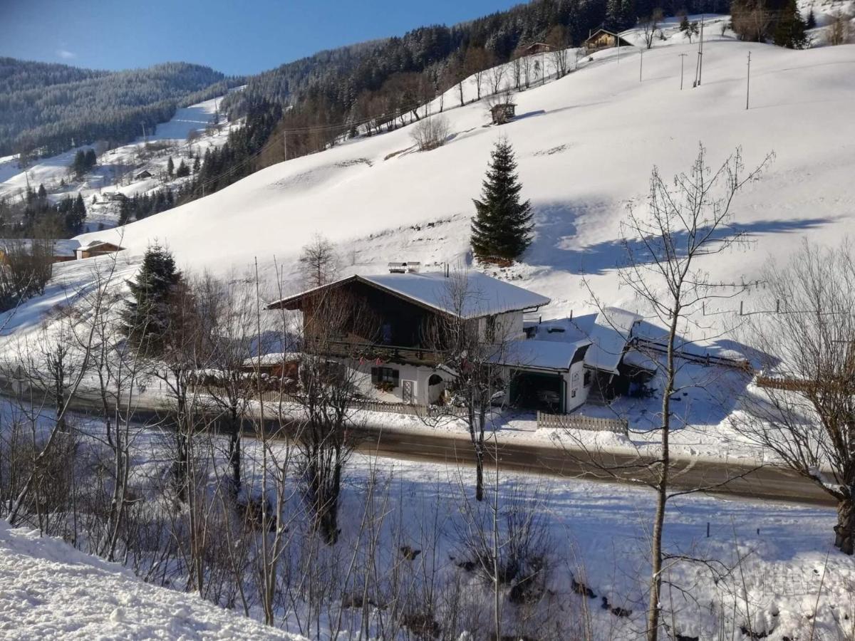 Great holiday apartment in Dienten am Hochköni Dienten am Hochkönig Exterior foto